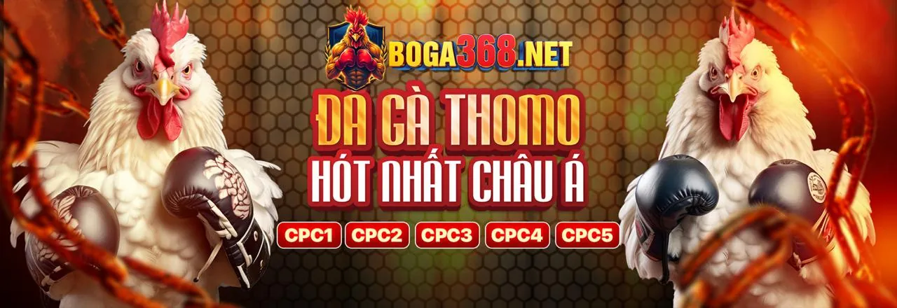 Ứng dụng VN8 Link Mới trên điện thoại